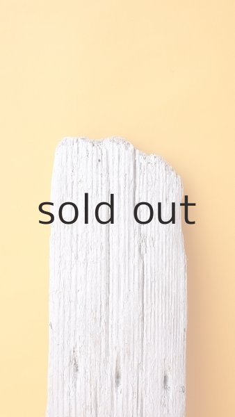 画像3: 板流木 (3)