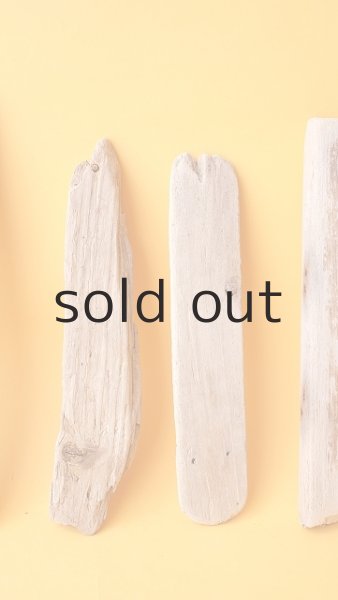 画像3: 板流木セット (3)