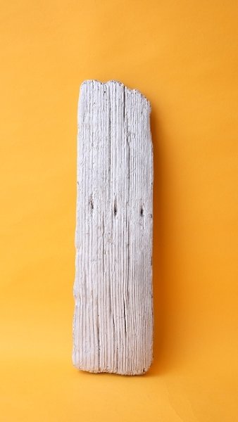 画像1: 板流木 (1)