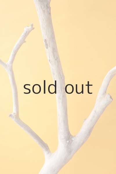 画像4: 枝流木 (4)