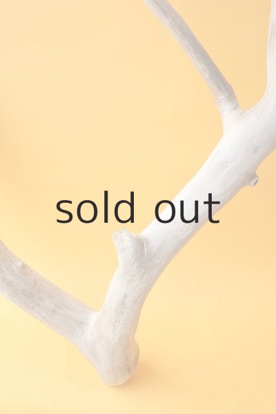 画像3: 枝流木 (3)