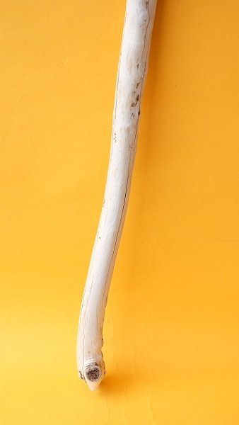 画像2: 枝流木 (2)