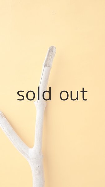 画像4: 枝流木 (4)