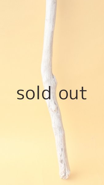 画像2: 枝流木 (2)