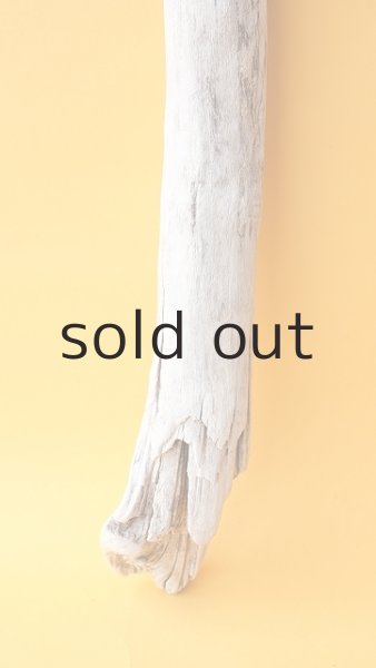 画像2: 小枝流木セット (2)