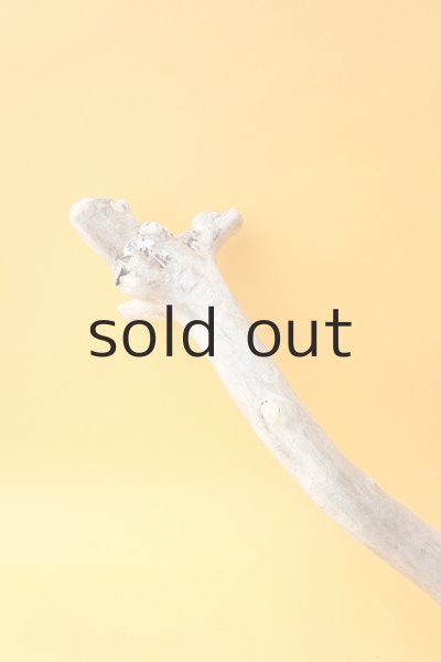 画像2: 枝流木 (2)