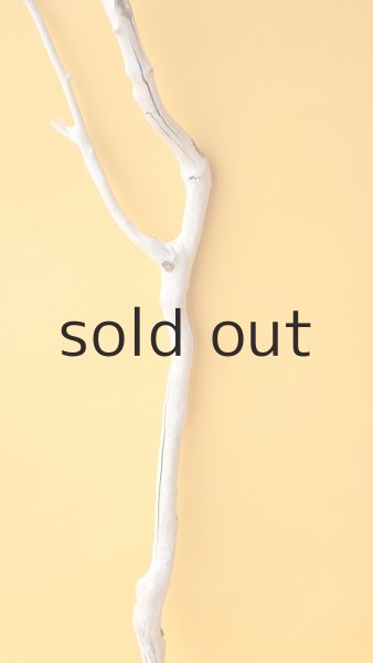 画像3: 枝流木 (3)