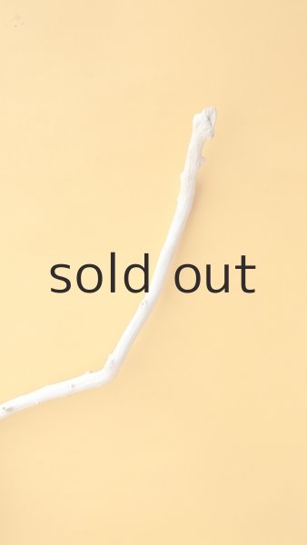 画像4: 枝流木 (4)