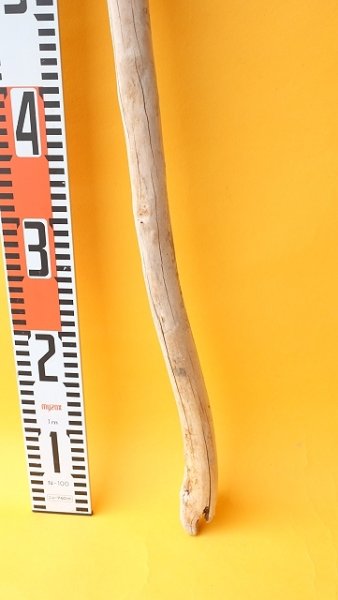 画像5: 枝流木 (5)