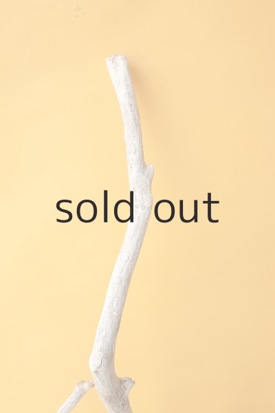 画像5: 枝流木 (5)