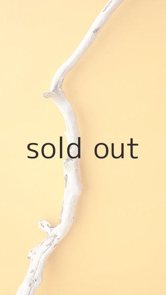 画像3: 枝流木 (3)