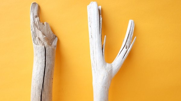 画像3: 小枝流木セット (3)