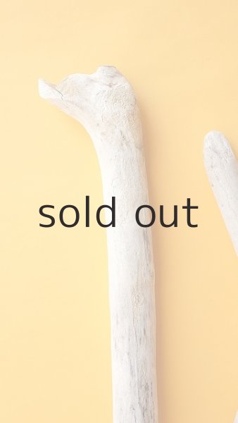 画像3: 小枝流木セット (3)