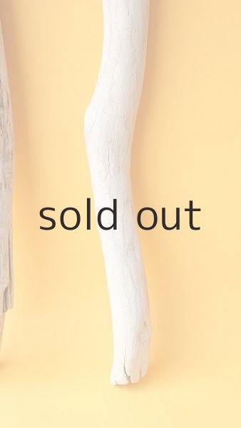 画像5: 小枝流木セット (5)