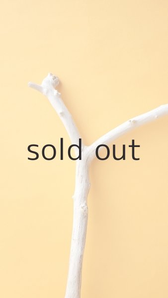 画像3: 枝流木 (3)