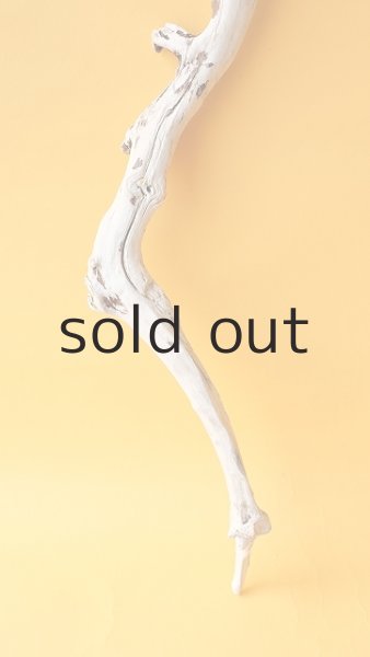 画像2: 枝流木 (2)