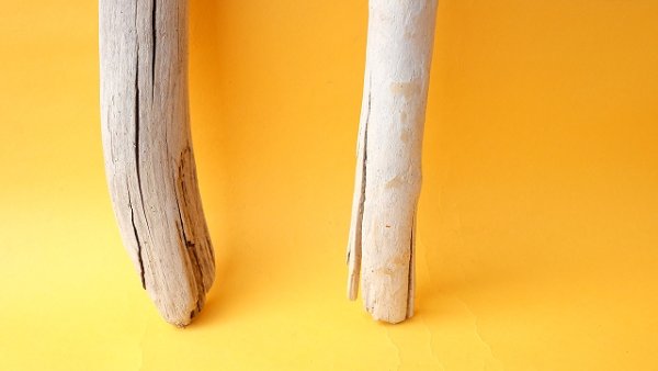 画像2: 小枝流木セット (2)