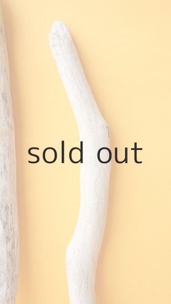 画像4: 小枝流木セット (4)