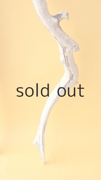 画像5: 枝流木 (5)