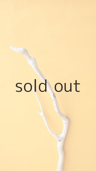 画像4: 枝流木 (4)