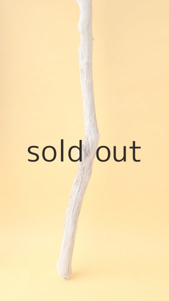 画像5: 枝流木 (5)