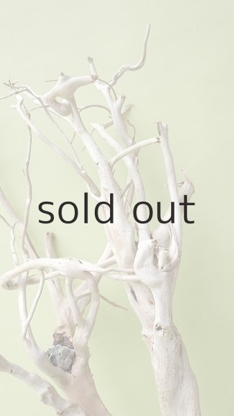 画像4: 流木根（中型） (4)