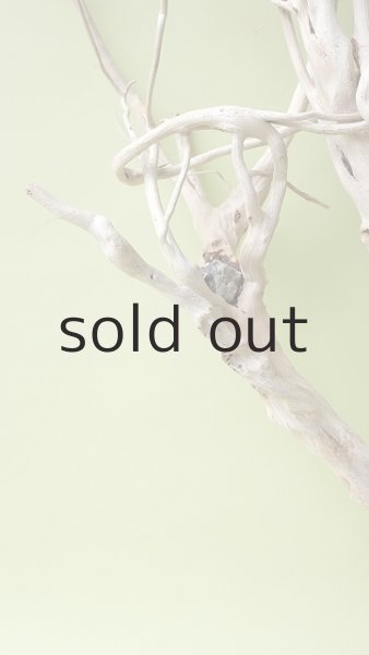 画像6: 流木根（中型） (6)