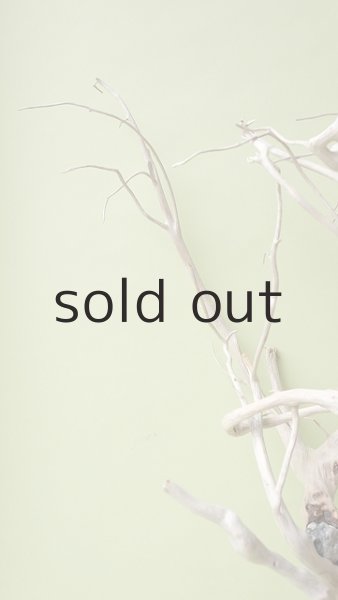 画像5: 流木根（中型） (5)