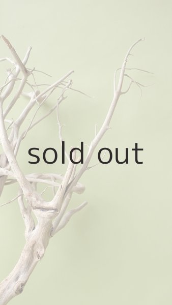 画像9: 流木根（中型） (9)