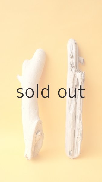 画像1: 小枝流木セット (1)