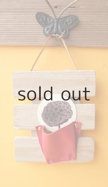 画像2: エアープランツ置き（壁掛けタイプ） by GRAY and GREEN (2)