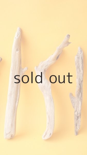 画像3: 小枝流木セット (3)