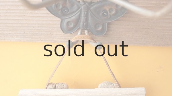 画像3: エアープランツ置き（壁掛けタイプ） by GRAY and GREEN (3)