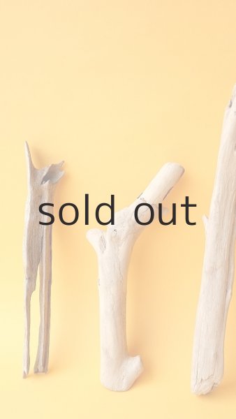 画像2: 小枝流木セット (2)