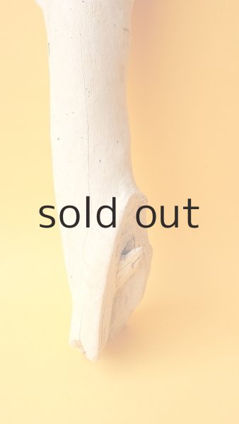 画像2: 小枝流木セット (2)