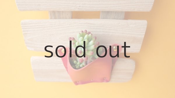 画像4: エアープランツ置き（壁掛けタイプ） by GRAY and GREEN (4)