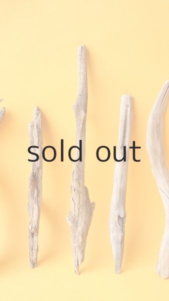 画像4: 小枝流木セット (4)