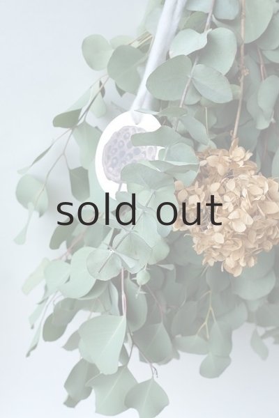 画像3: Dry plants for decor ユーカリ2種シンプルスワッグ (3)