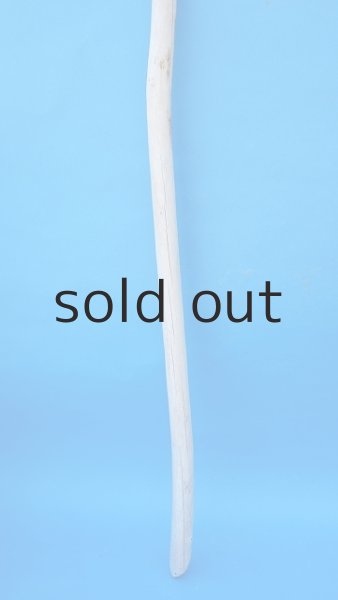 画像2: 棒流木 (2)