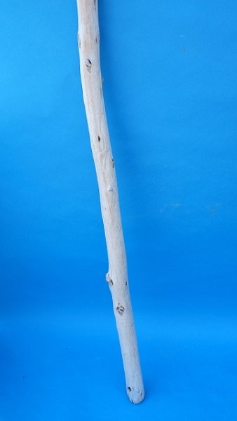 画像2: 棒流木・長尺 (2)