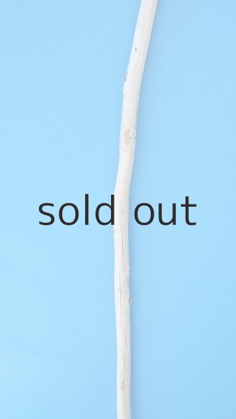 画像3: 棒流木 (3)