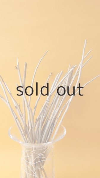 画像3: 棒流木・極細セット (3)