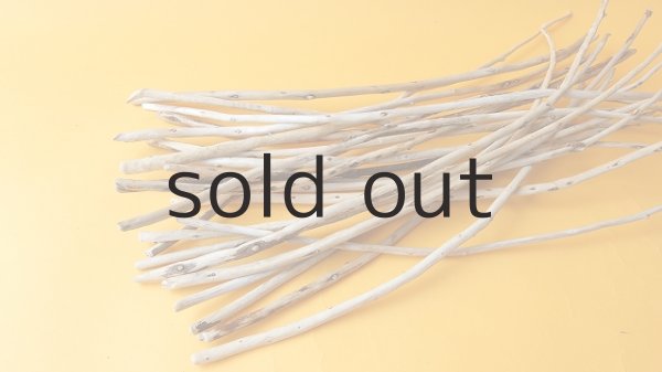 画像4: 棒流木・極細セット (4)