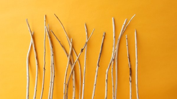 画像3: 棒流木・極細セット (3)