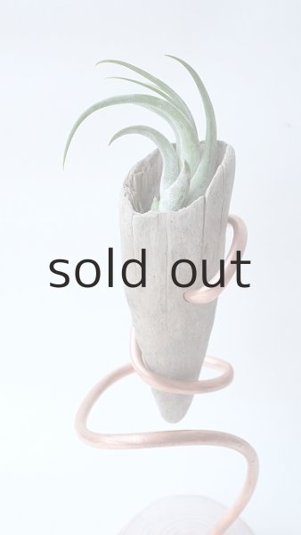 画像4: エアープランツ置き by GRAY and GREEN (4)