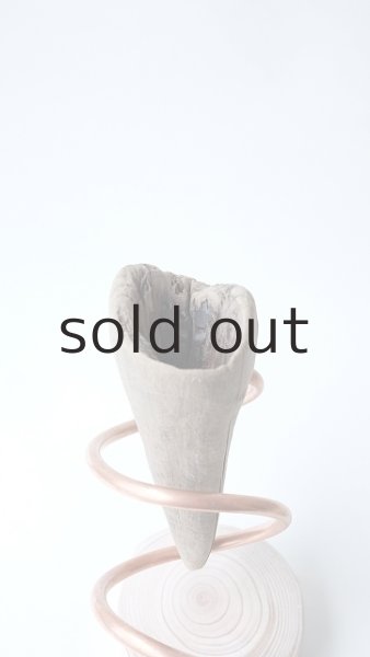 画像5: エアープランツ置き by GRAY and GREEN (5)