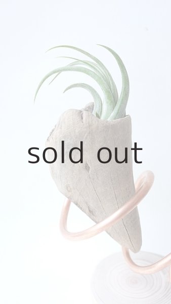 画像3: エアープランツ置き by GRAY and GREEN (3)