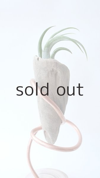 画像3: エアープランツ置き by GRAY and GREEN (3)