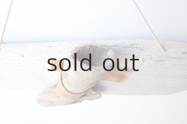 画像3: エアープランツ置き（壁掛けタイプ） by GRAY and GREEN (3)