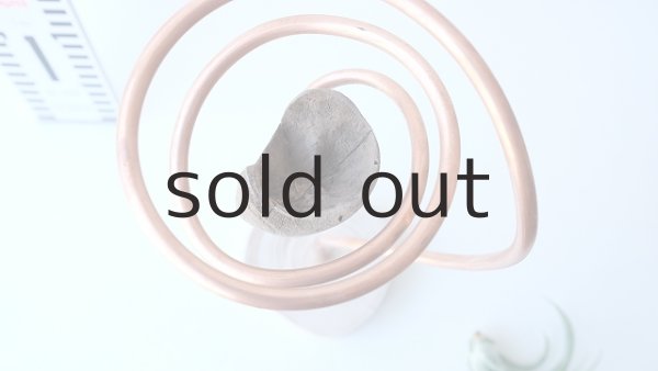 画像4: エアープランツ置き by GRAY and GREEN (4)